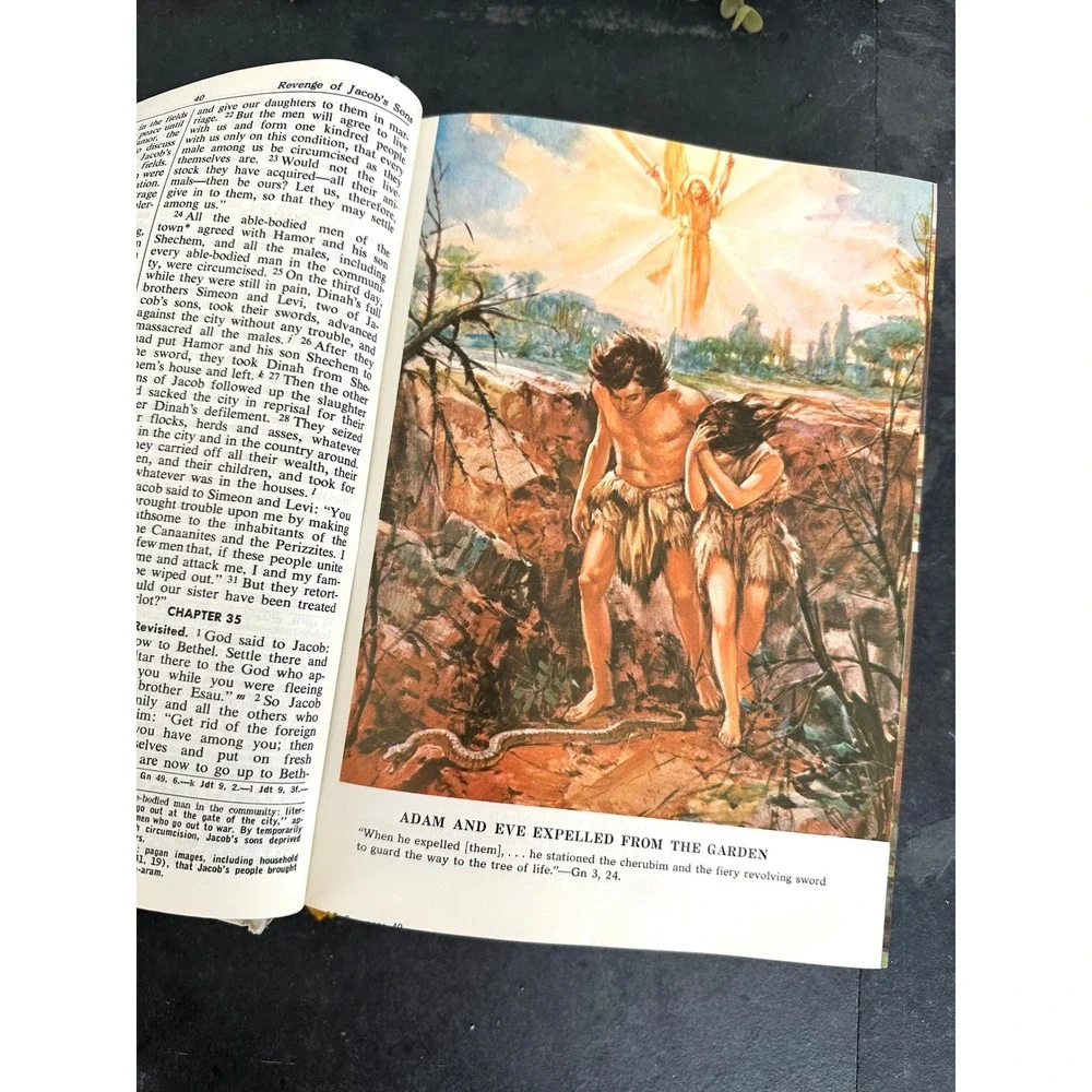 Holy Bible: Saint Joseph edition of the New American Bible 1970 fine art